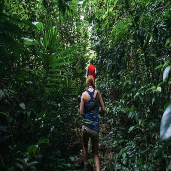 Dominica Hot Springs Waterfalls and Titou Gorge Treasures - What the $107 price really covers