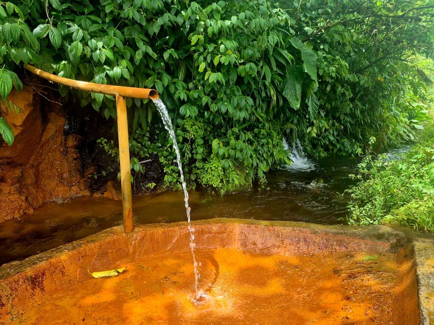 Dominica: Middleham Falls, Titou Gorge, and Trafalgar Falls… - Why this Dominica day works so well