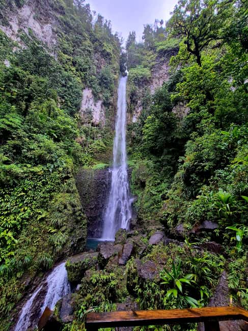 Dominica: Middleham Falls, Titou Gorge, and Trafalgar Falls… - The Middleham Falls hike takes real effort