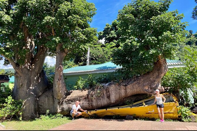 Dominica Waterfalls Chasing Experience - Roseau from the Botanical Gardens to Morne Bruce