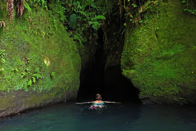 Dominica Waterfalls Chasing Experience - Trafalgar Falls and the twin-waterfall view