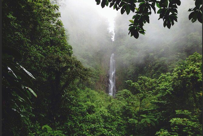 Dominica Waterfalls Chasing Experience - What the road and vehicle are really like