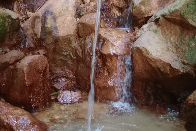 Dominica Waterfalls Full Day Private Expedition @ AUTOP TOURS - What the private format really gives you