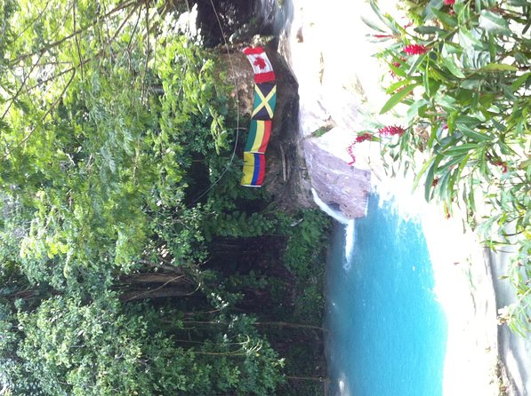 Dunn's River Falls and Jamaica Sightseeing Private Tour - Why Dunn’s River Falls makes a strong half-day outing