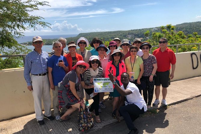Dunn's River Falls and Jamaica Sightseeing Private Tour - Who should book this Jamaica excursion?