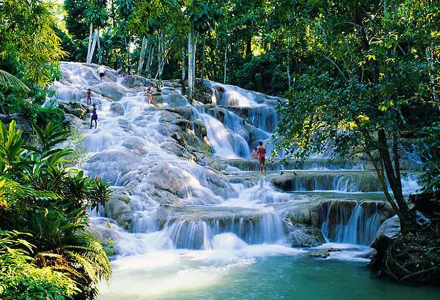 Dunn's River Falls Day Tour - Why Dunn’s River Falls is the main event