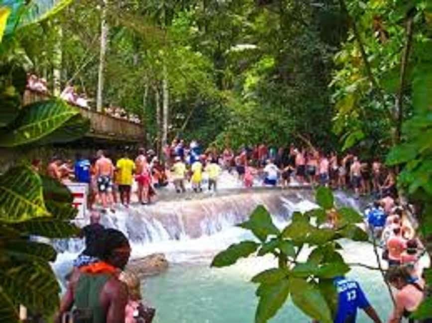 Dunn's River Falls Day Tour - What the private format changes