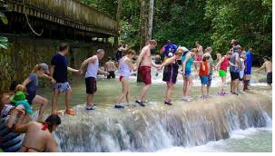 Dunn's River Falls Day Tour - Should you book the Dunn’s River Falls day tour?
