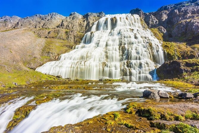 Dynjandi Waterfall & Iceland Farm Visit Tour - Is $149 a fair price?