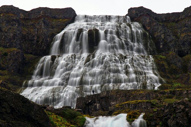 Dynjandi Waterfall & Iceland Farm Visit Tour - Crowds, pace, and practical comfort