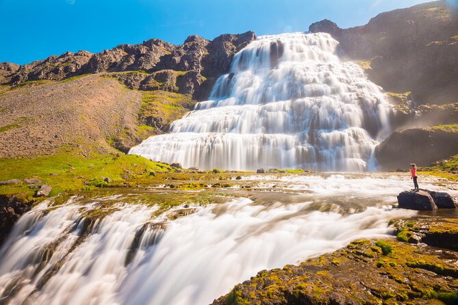 Dynjandi Waterfall & Iceland Farm Visit Tour - Who should book the Dynjandi farm tour?