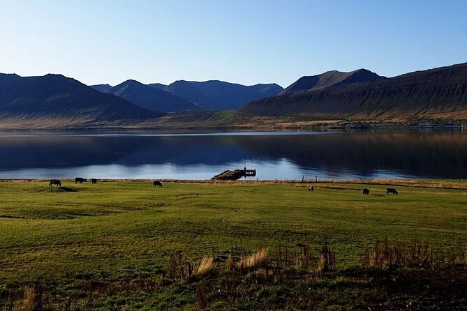Dynjandi Waterfall & Iceland Farm Visit Tour - Should you book it?