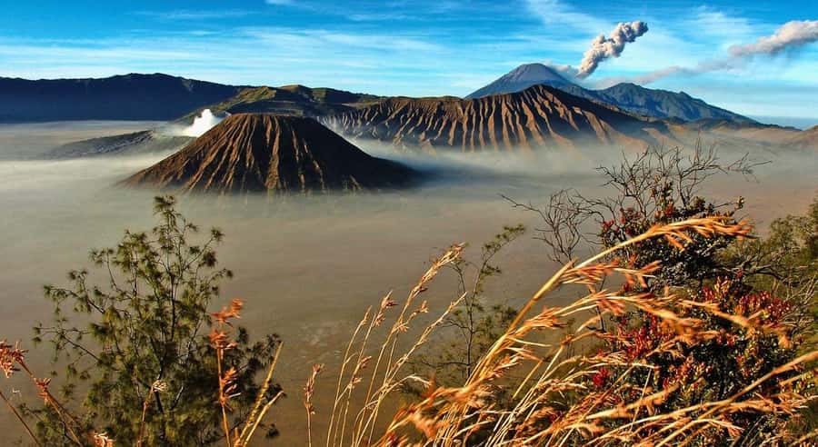 East Java: 3D2N Ijen Crater, Bromo, & Tumpak Sewu Waterfall - Should you book this East Java tour?