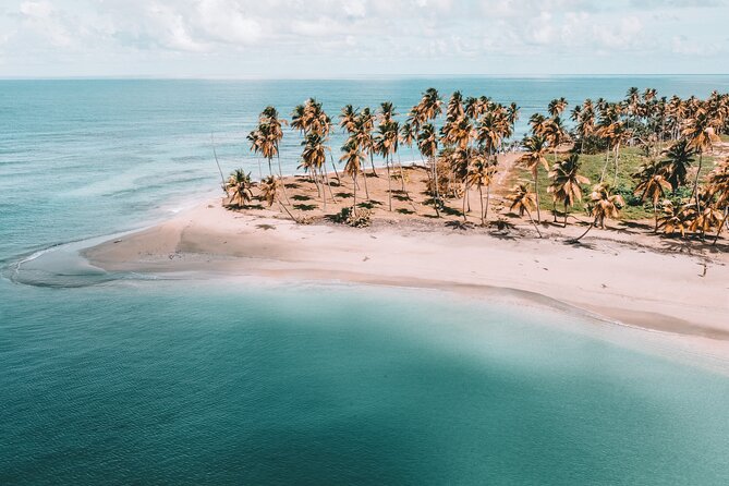 ECO TOUR Playa El Limon (Excursion Multi-activites) - Key details before you book