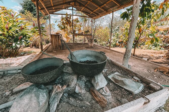 ECO TOUR Playa El Limon (Excursion Multi-activites) - Rancho La Cueva and a proper Dominican lunch