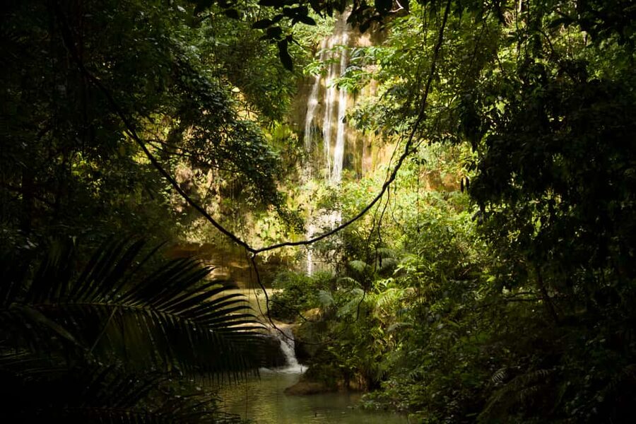 El Limón: Waterfall Hiking Tour with Lunch - The 300 steps before El Limón Waterfall