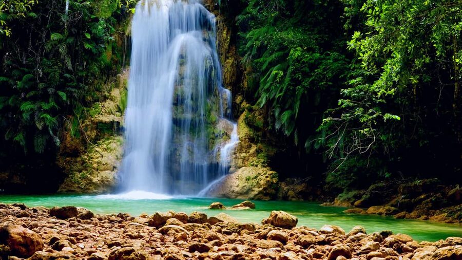 El Limón: Waterfall Horseriding Tour with Lunch - Riding through Samaná’s tropical forest