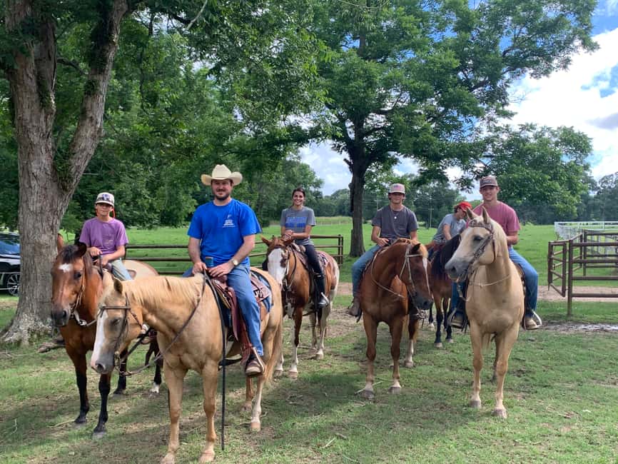 El Limón: Waterfall Horseriding Tour with Lunch - What the $49 price really covers