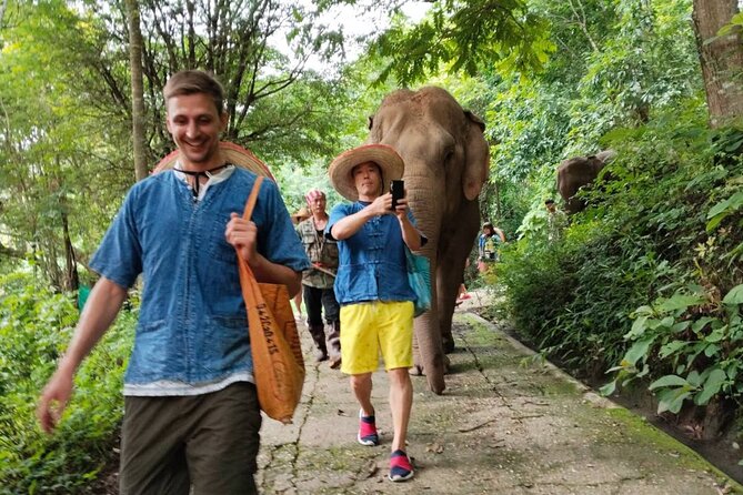 Elephant Experience and Hidden Jungle Waterfall Chiang Mai - What the six-hour schedule means for you