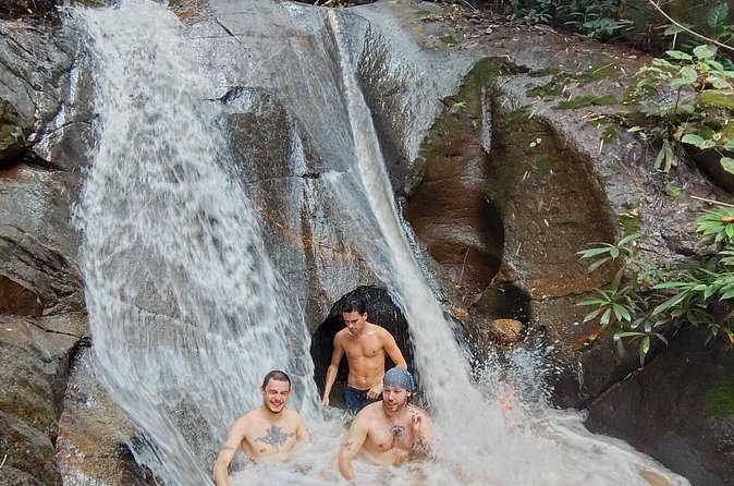 Elephant Experience and Hidden Jungle Waterfall Chiang Mai - Is the $52.15 price good value?