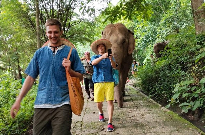 Elephant Experience and Hidden Jungle Waterfall Chiang Mai - Who will enjoy this Chiang Mai outing?