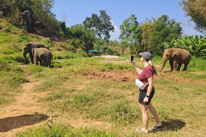 Elephant Sanctuary, Wat Ban Den & Sticky Waterfall - Climbing Bua Tong Sticky Waterfall