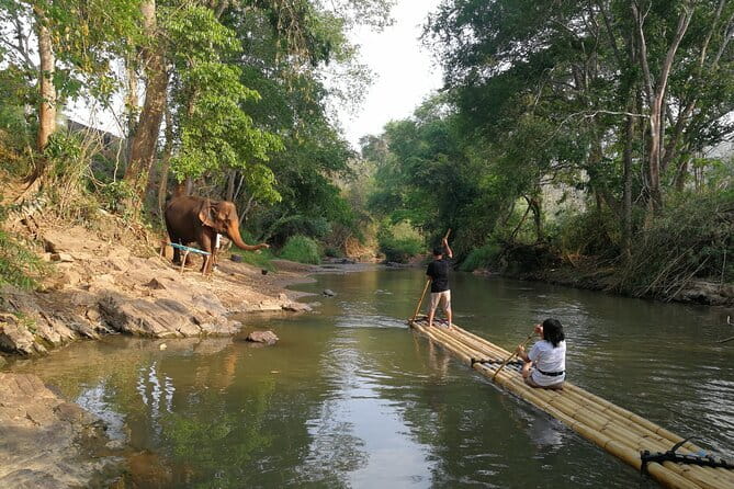 Elephant Sanctuary + Waterfall + Bamboo Rafting One Day Trip - Three Mae Wang activities in one long day