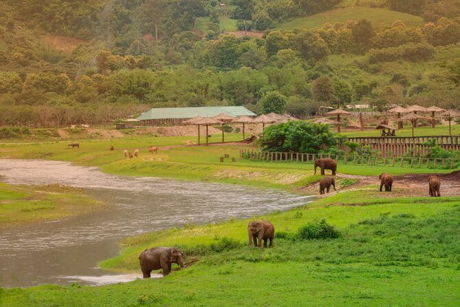 Elephant Sanctuary + Waterfall + Bamboo Rafting One Day Trip - Cooling off at the 20-meter Mae Wang Waterfall