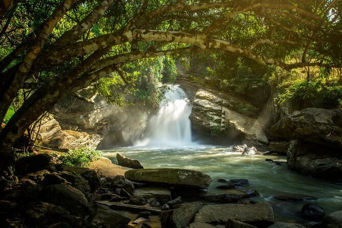 Elephant Sanctuary + Waterfall + Bamboo Rafting One Day Trip - A slow ride on a bamboo raft