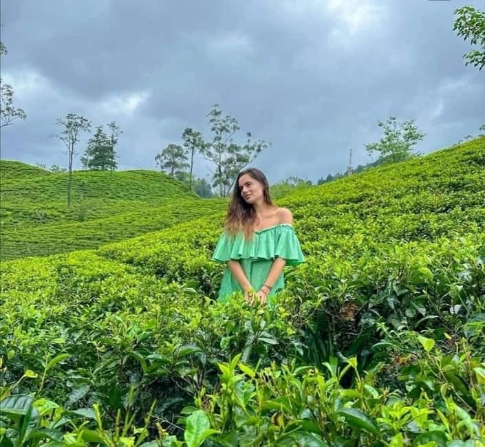 Ella: Ella Rock, 9 Arch, Little Adams Peak, & Waterfall Tour - Demodara Loop View Point and the railway story