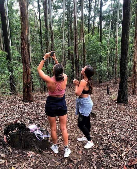 Ella: Ella Rock, 9 Arch, Little Adams Peak, & Waterfall Tour - Kithalella View Point and the quieter side of Ella