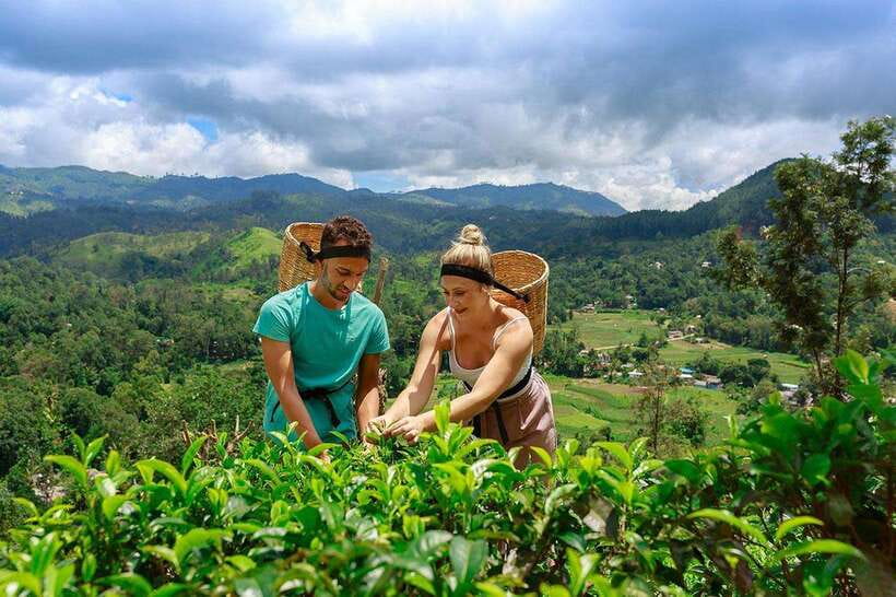 Ella: Little Adam's Peak, 9 Arch Bridge, Ravana Falls Tour - Who will enjoy this tour most