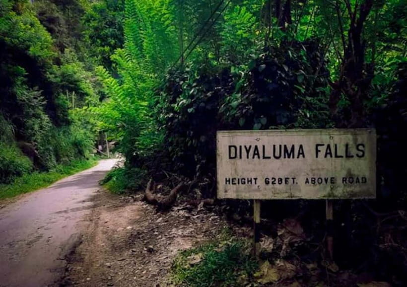 Ella: Tuk Tuk Tour to Diyaluma and Secret Waterfalls - Why Diyaluma is worth the ride from Ella