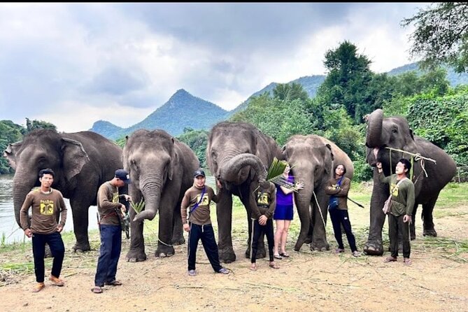 Erawan Waterfall and Elephant care from Bangkok -Private Tour - Erawan Waterfall and its seven levels