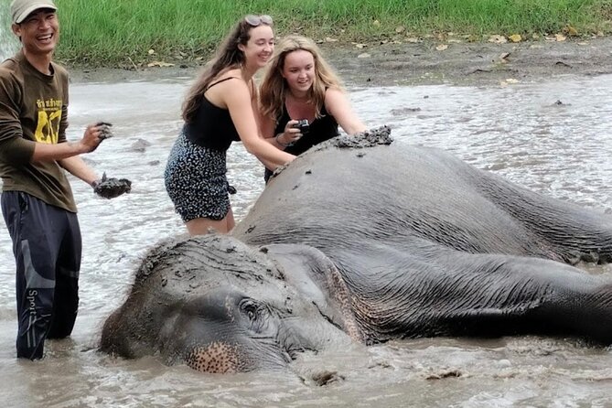 Erawan Waterfall and Elephant care from Bangkok -Private Tour - The 4:00 pm departure and long ride back
