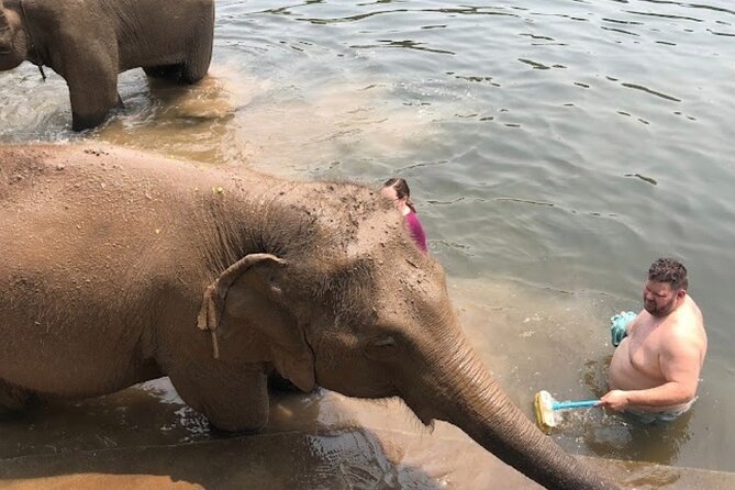 Erawan Waterfall and Elephant care from Bangkok -Private Tour - Is $203.28 per person a fair price?
