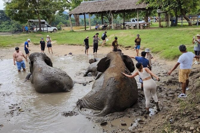 Erawan Waterfall and Elephant care from Bangkok -Private Tour - Who should book this experience?