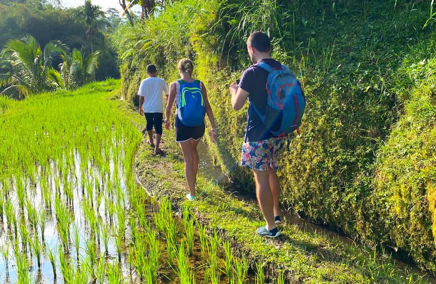 Exclusive Tetebatu: Waterfall, Rice Fields, Monkey & Weaving - Key points to know before you go