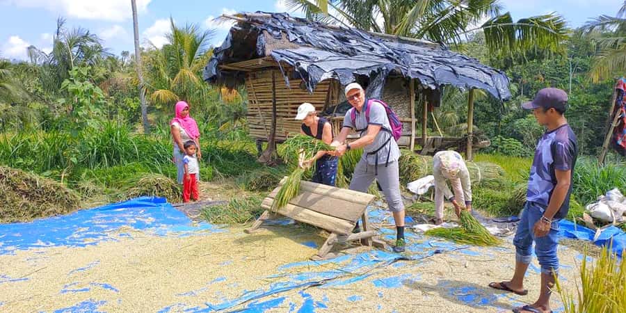 Exclusive Tetebatu: Waterfall, Rice Fields, Monkey & Weaving - Why Tetebatu makes a good break from Lombok’s beaches