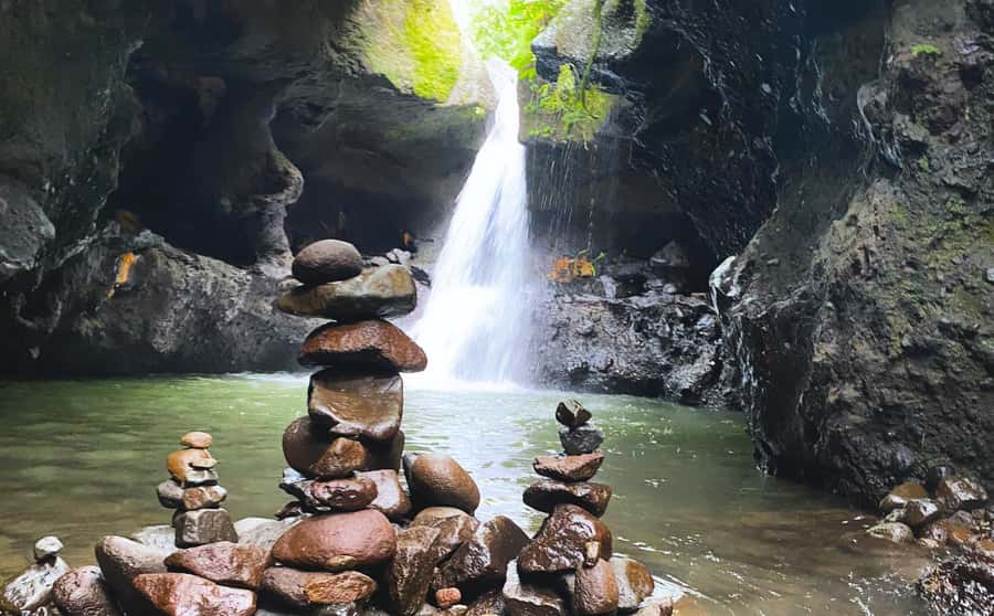Exclusive Tetebatu: Waterfall, Rice Fields, Monkey & Weaving - Meeting macaques in Tetebatu Monkey Forest