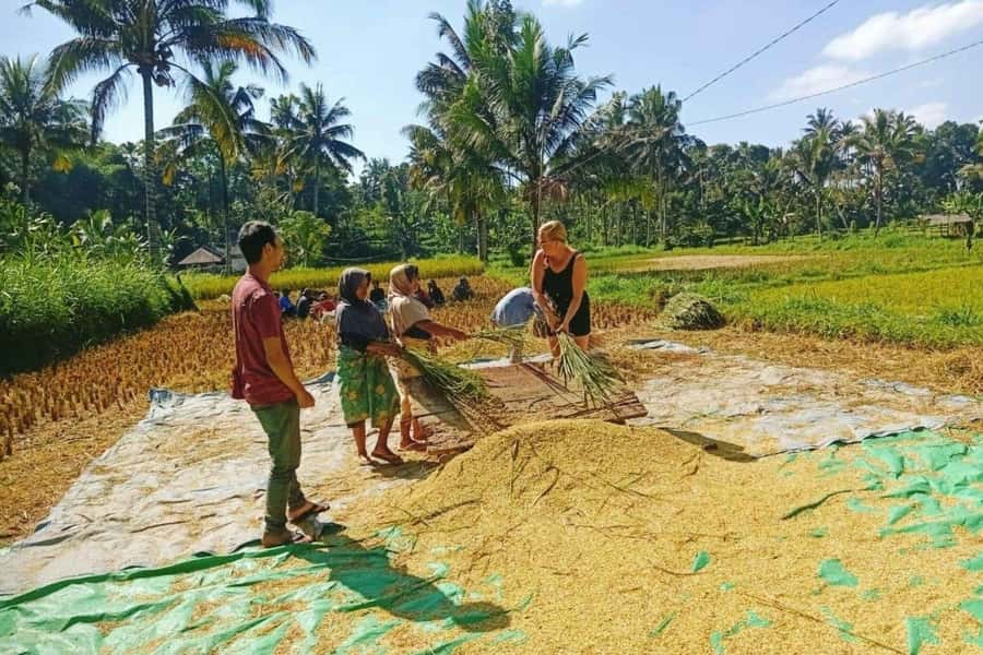 Exclusive Tetebatu: Waterfall, Rice Fields, Monkey & Weaving - Seeing the looms at Sukarara Village
