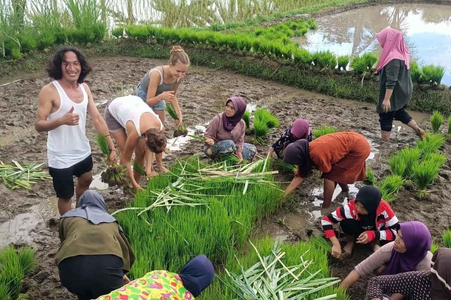 Exclusive Tetebatu: Waterfall, Rice Fields, Monkey & Weaving - Lunch and the pace of an eight-hour day