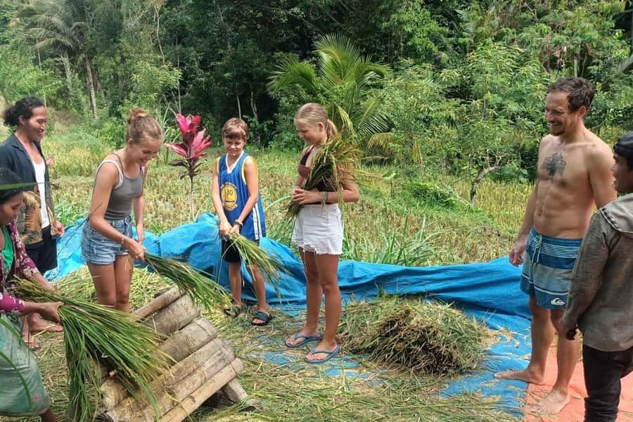 Exclusive Tetebatu: Waterfall, Rice Fields, Monkey & Weaving - Should you book it?