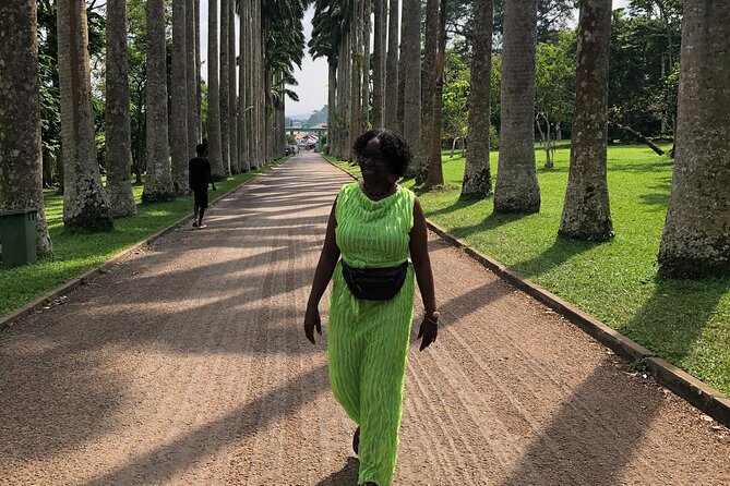 Experience Boti Waterfalls, Aburi Botanical Gardens & Tetteh Quarshie Cocoa Farm - Aburi Botanical Gardens: plants, shade, and a carved story
