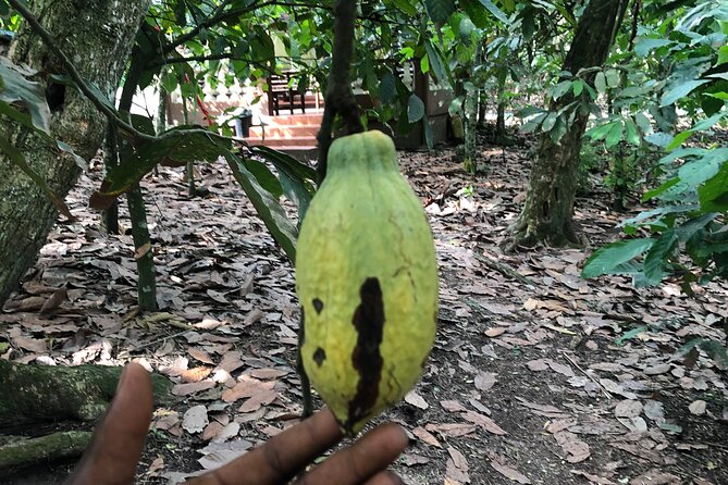 Experience Boti Waterfalls, Aburi Botanical Gardens & Tetteh Quarshie Cocoa Farm - Boti Waterfalls: the demanding and rewarding center of the day