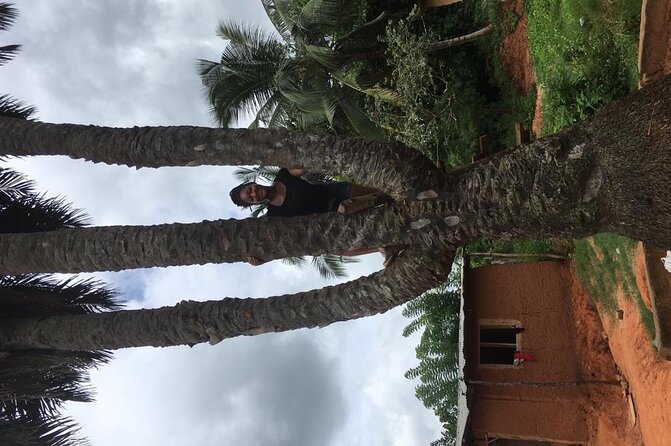 Experience Boti Waterfalls, Aburi Botanical Gardens & Tetteh Quarshie Cocoa Farm - Asenema Waterfalls adds another hour in nature