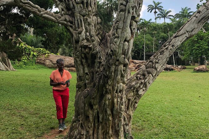 Experience Boti Waterfalls, Aburi Botanical Gardens & Tetteh Quarshie Cocoa Farm - Practical details that affect your day