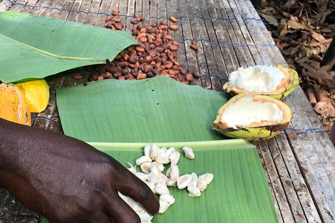 Experience Boti Waterfalls, Aburi Botanical Gardens & Tetteh Quarshie Cocoa Farm - Tetteh Quarshie Cocoa Farm: Ghana’s chocolate story