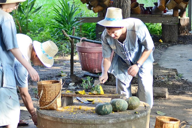 Experience Elephant Sanctuary + Sticky Waterfall - How private is the private tour?