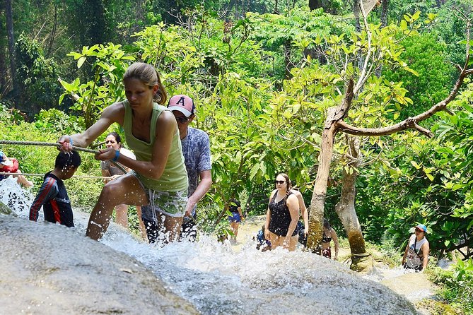Experience Elephant Sanctuary + Sticky Waterfall - Is $94.11 a good value?